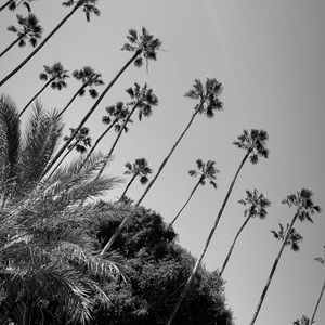 Meet your Posher, Em